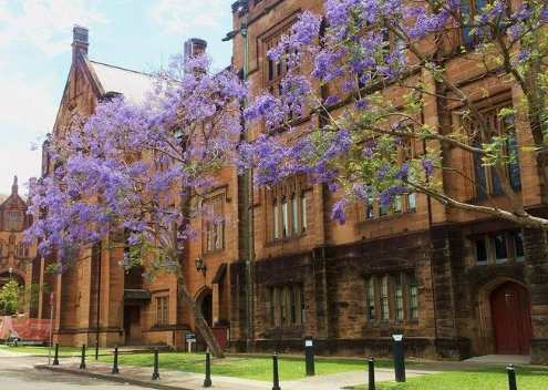 澳大利亞有哪些音樂學院推薦？