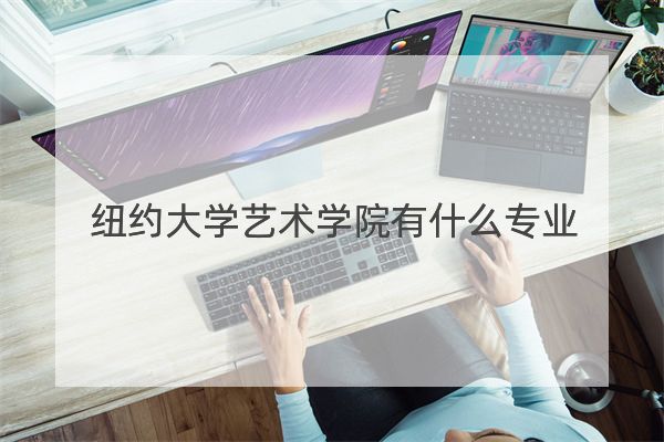 紐約大學(xué)藝術(shù)學(xué)院有什么專業(yè)