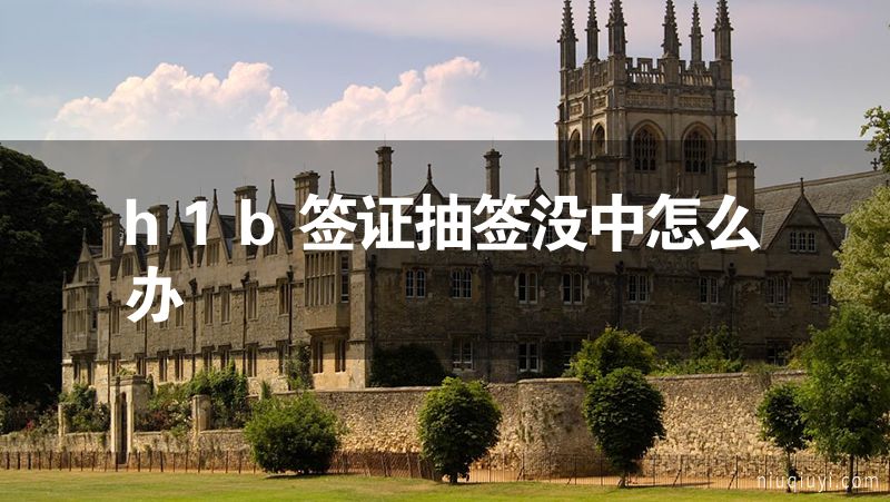 h1b簽證抽簽沒(méi)中怎么辦