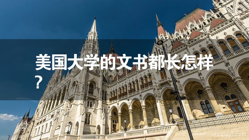 美國大學(xué)的文書都長怎樣?