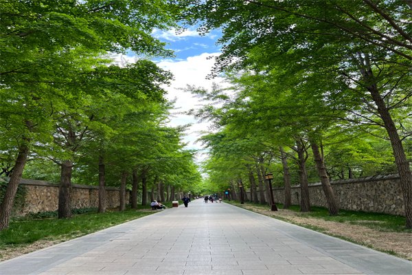 2023澳大利亞本科留學費用