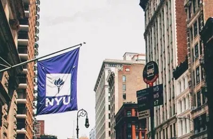 紐約大學獎學金本科分類