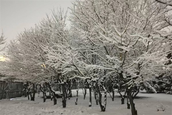 2023年英國留學(xué)前必考都有哪些