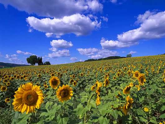 意大利氣候怎么樣，意大利一年四季天氣介紹