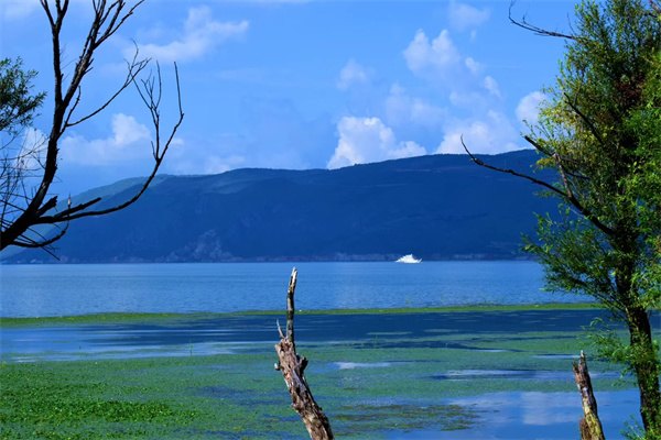 2023澳大利亞四星大學留學費用