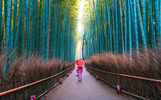 2023年日本經(jīng)營(yíng)管理移民簽證申請(qǐng)條件和優(yōu)勢(shì)盤點(diǎn)！