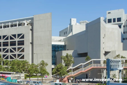 香港學音樂的大學有哪些？