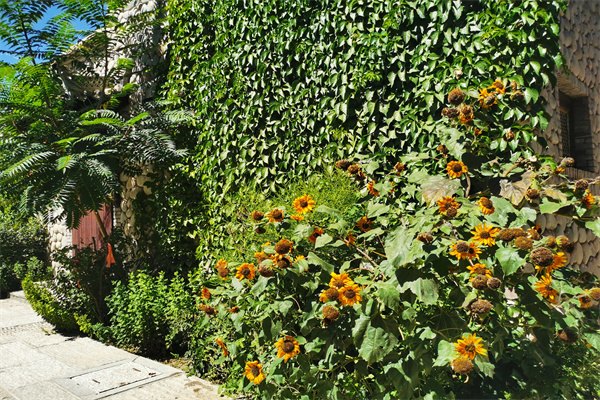 2023年四所英國優秀院校安利