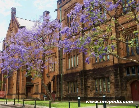 澳洲音樂學院都有哪些