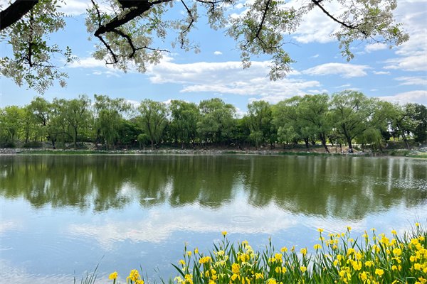 2023澳大利亞悉尼留學(xué)兩年費用