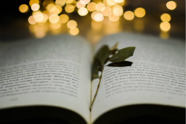 美國留學簽證面試技巧及流程 美國留學簽證面試技巧及流程