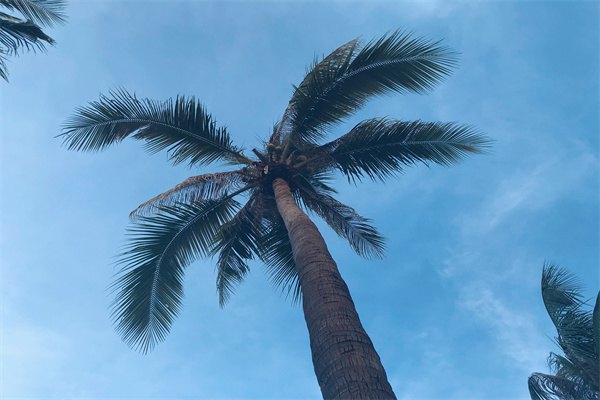 2023年澳大利亞留學就業優勢專業都有哪些