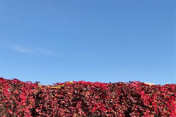 2023年英國留學前考試都有哪些