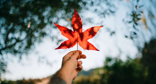 加拿大旅游簽證需要哪些材料，辦理費(fèi)用和申請(qǐng)步驟流程！