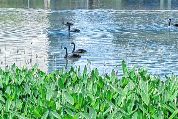 英國傳媒專業本科留學優質院校