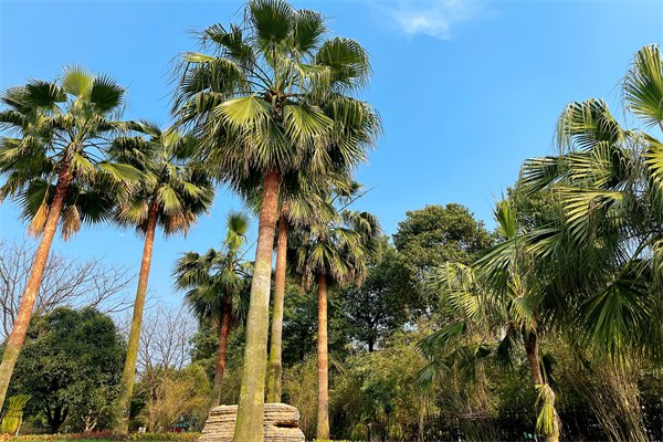 2023年在英國就業率高的專業有哪些