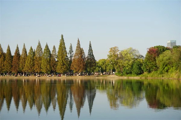 適合國內學生申請的英國一年制碩士項目