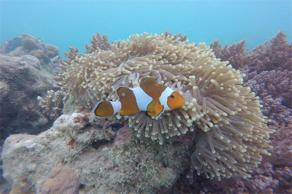 2023年在英國留學住宿可以避開哪些坑