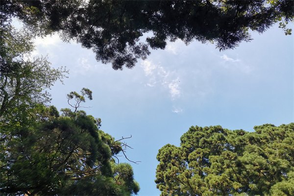 2023年澳大利亞高校熱門專業(yè)分類