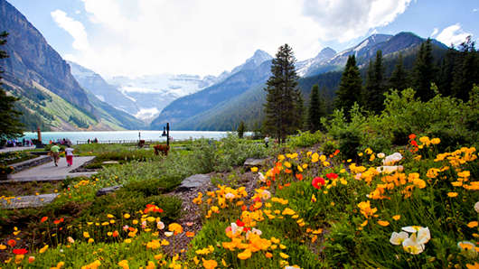 技術移民加拿大難嗎？加拿大技術移民計劃于7月重開！