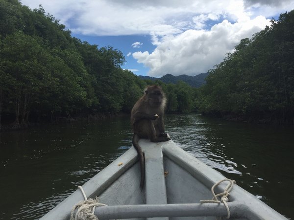 2023年英國留學就業率高都有哪些專業