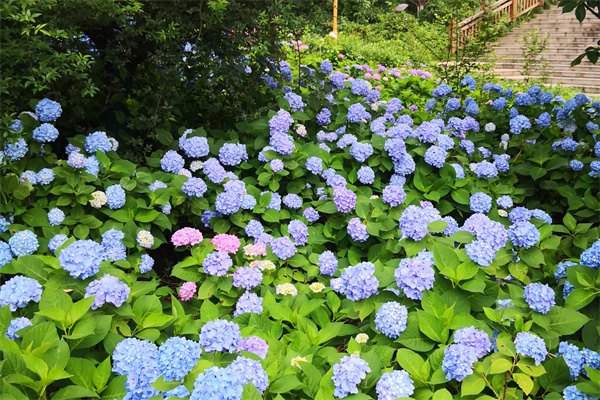 2023年英國碩士留學申請材料有那些