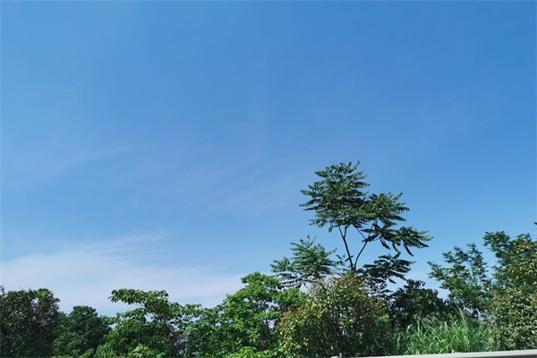 2023澳大利亞留學一年費用