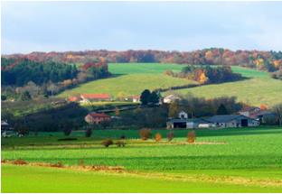 移民法國高福利詳解