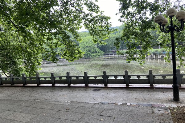 英國(guó)/中國(guó)香港/新加坡的一年制碩士到底怎么選