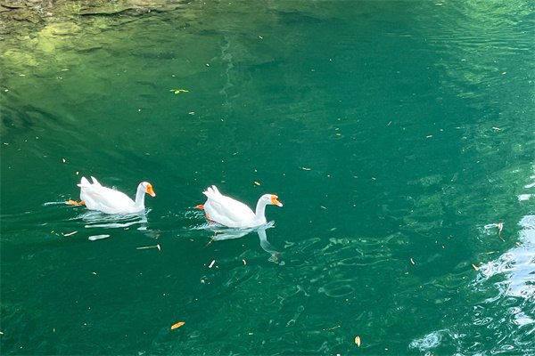 2023年澳洲留學性價比最高是哪些優質大學