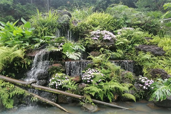 大部分留學生選擇英國留學都是為了什么