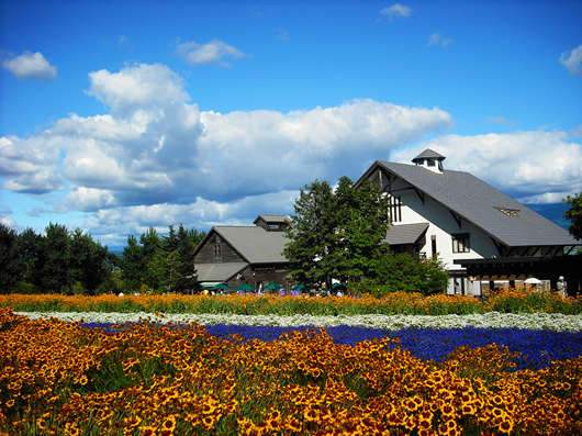 申請(qǐng)去日本工作如何?為何選擇到日本工作?