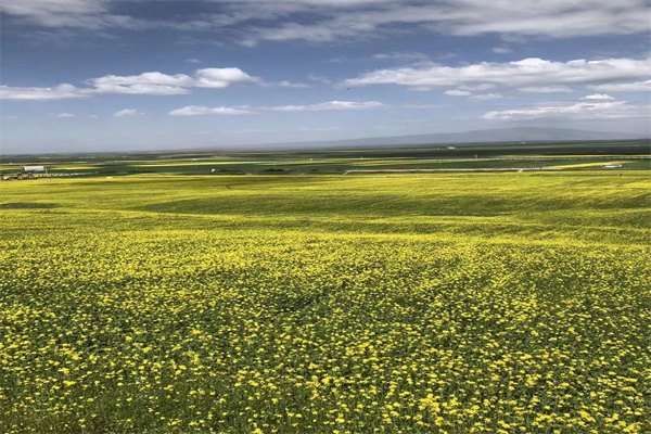 2023醫學博士留學澳大利亞費用