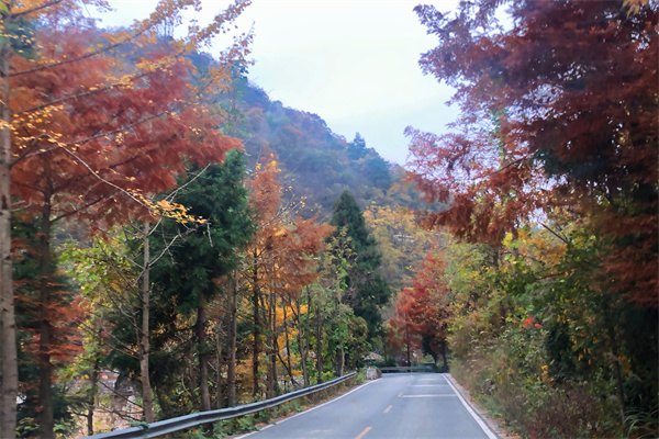 2023澳大利亞MBA留學費用