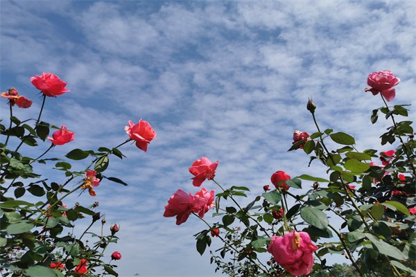 2023澳大利亞留學生住院費用