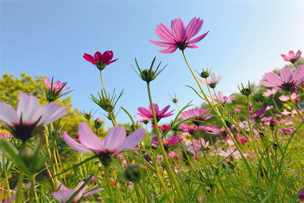 2023年英國本科申請方式都有哪些