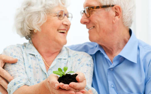 2024年移民英國退休金指南：如何領取、年齡限制和金額說明！