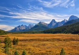 怎么辦理加拿大移民？如何在2023年移民加拿大？