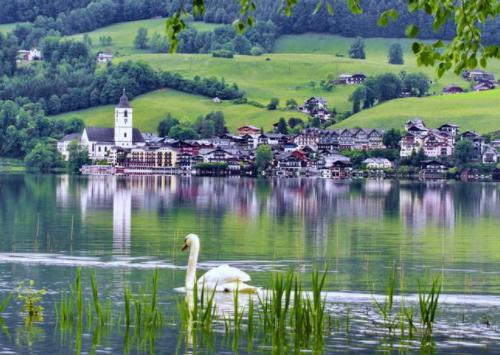 德國移民途徑最全解析，移民德國看這里就對了！