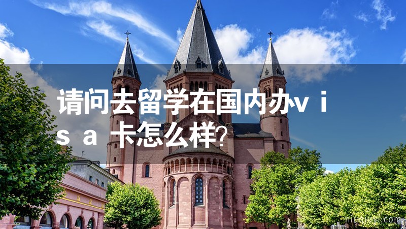 請問去留學在國內辦visa卡怎么樣? 請問去留學在國內辦visa卡怎么樣?